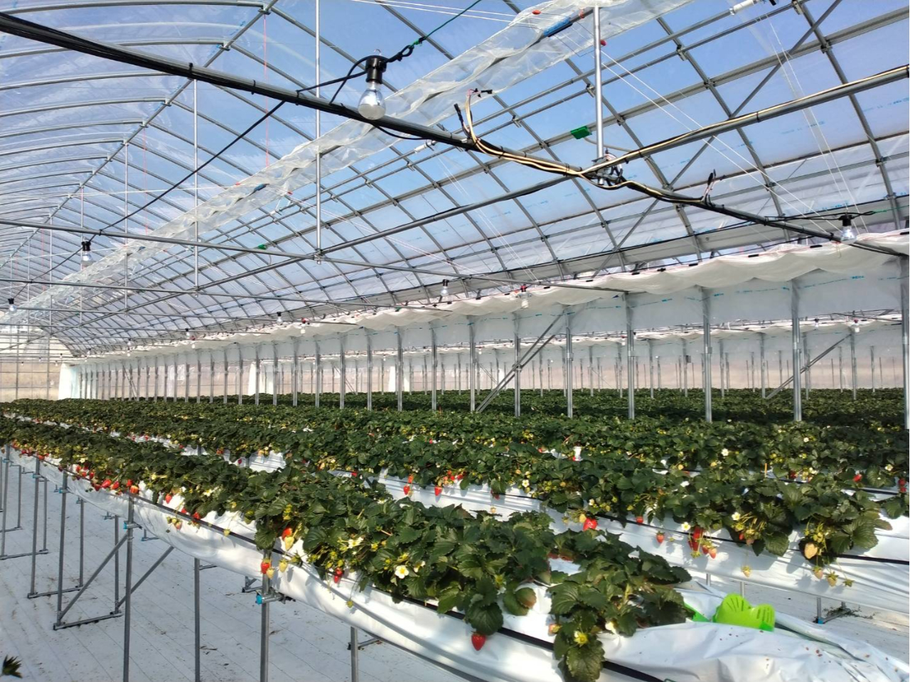 ݍ͔|ől̍炢̍ɂĂ܂