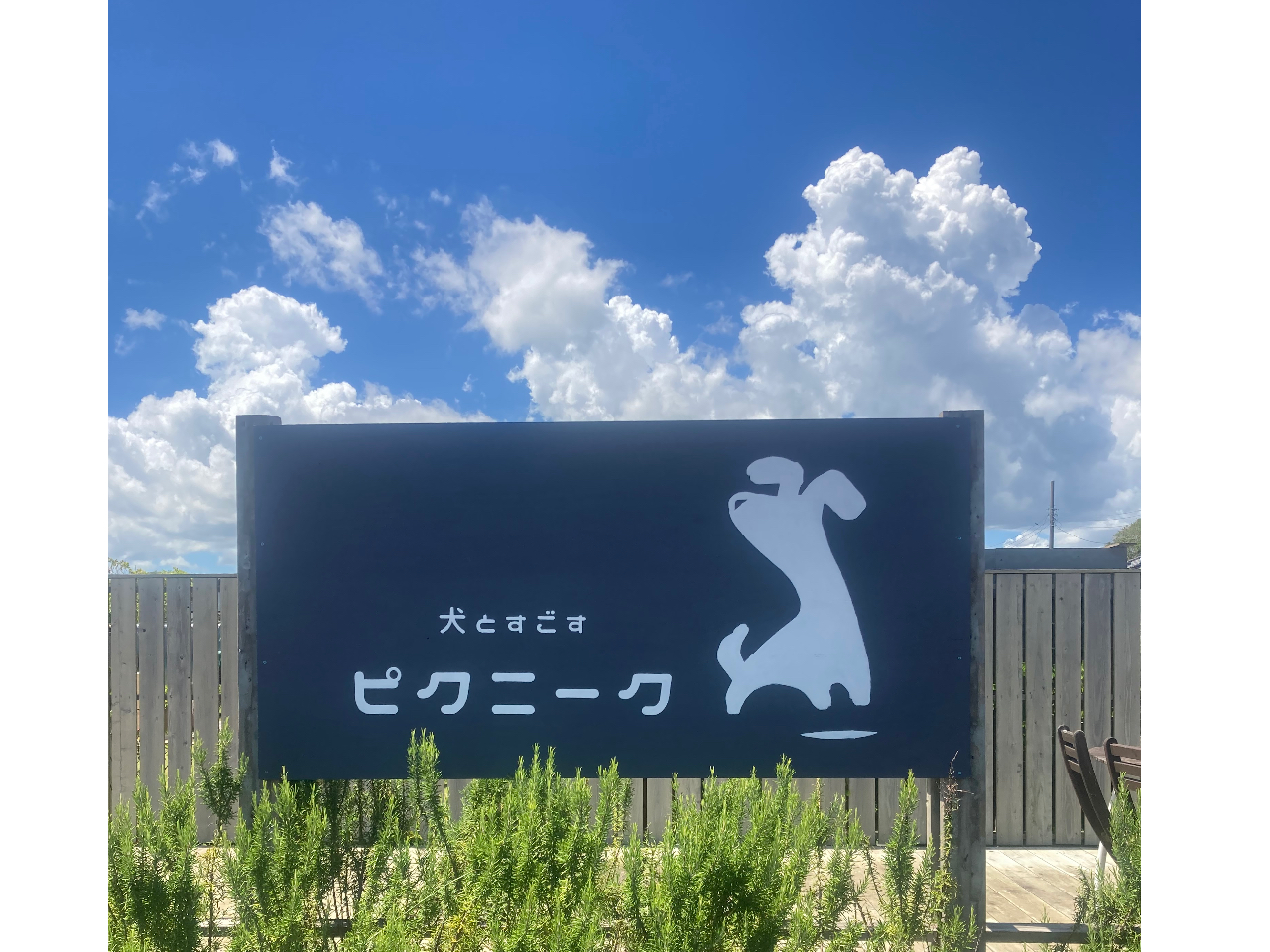 【土日デイキャンプ】オリーブ\10:00~18:00/プライベートスペースでのん...