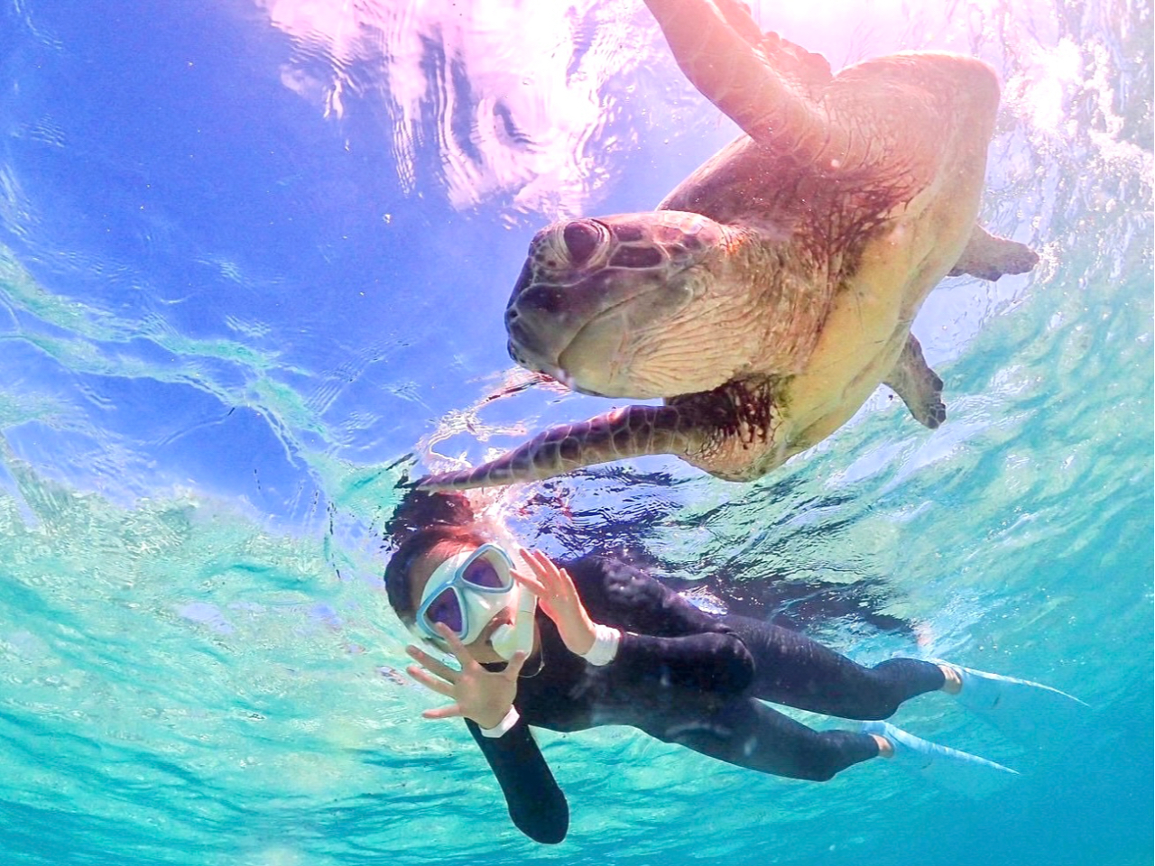 lꂵĂ̂łȂɋ߂Â܂OO