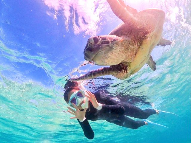 人馴れしているのでこんなに近づけます^^