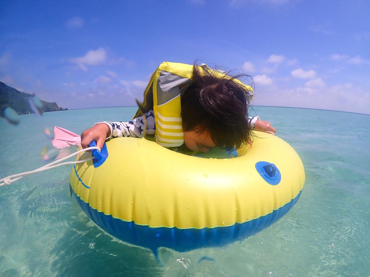 小さなお子様はこんな感じでウミガメを見てます^^水が苦手でも大丈夫◎