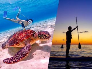 大人気のウミガメシュノーケリングとサンセットSUPのセットプラン★