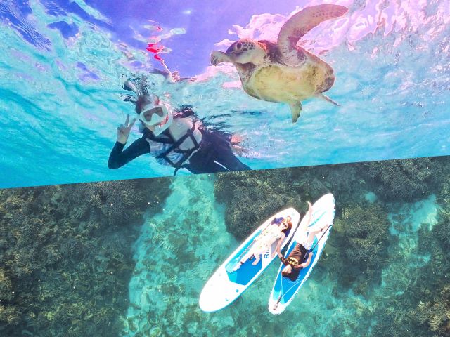 大人気のウミガメシュノーケリングとSUPのセットプラン★