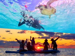 大人気のウミガメシュノーケリングとサンセットSUPのセットプラン★