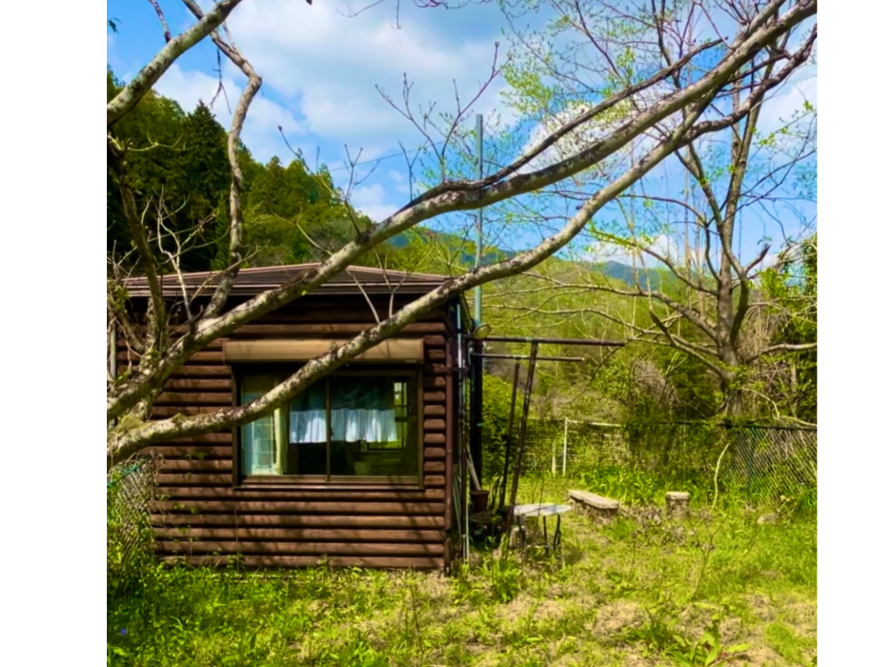 XߎIR͖̒̎̂悤ȌiFłI