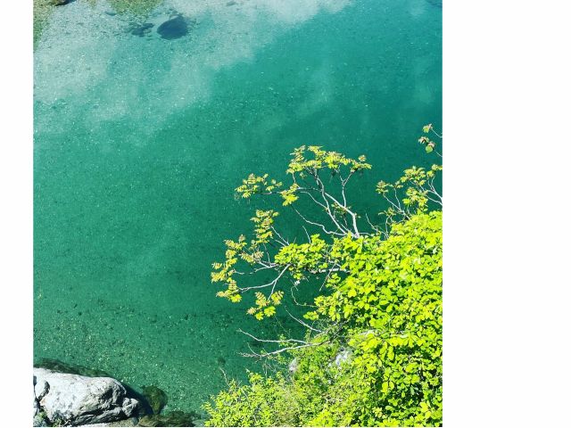 透き通る川で最高の思い出を!