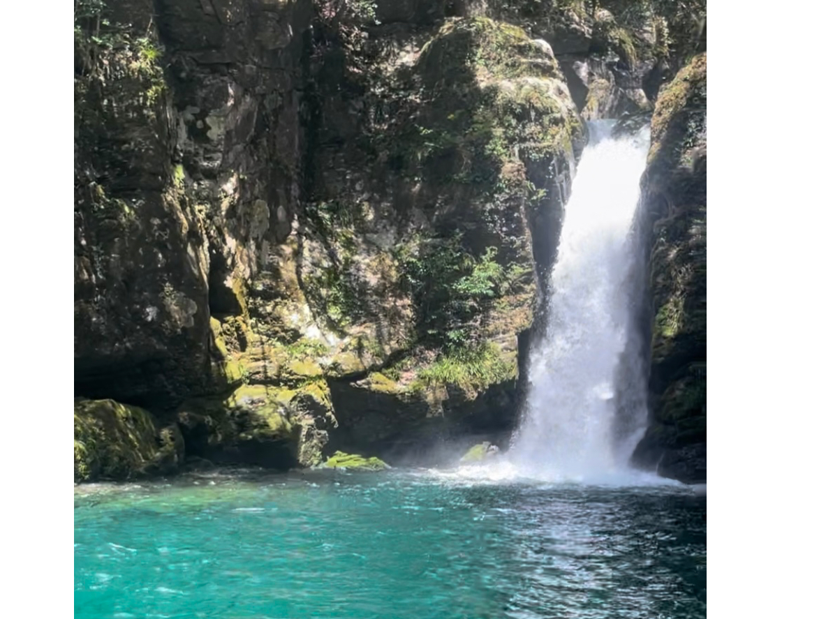 ɂ܂ŎԂłROIAɂɂόłႢ܂I