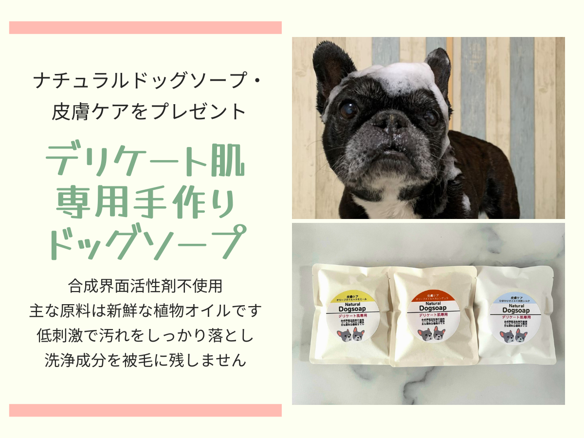オンラインショップで人気の「ナチュラルドッグソープ・皮膚ケア」をプレゼント♪