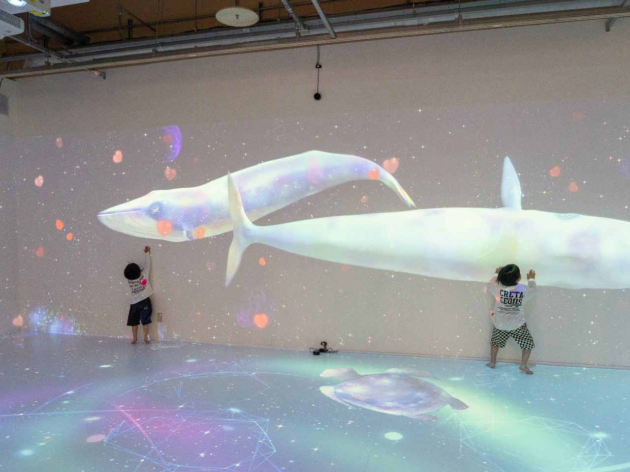 RDvWFN^[gpVRR[i[!!FȖ͗lɐGĂ݂悤!!!yd|ς