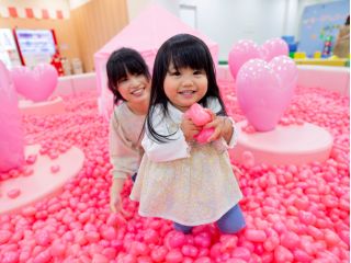 ハートでいっぱいのハート・スター♪ ハートで埋め尽くされたボールプール、さらにハートのシーソーは、子供たちの大好きが詰まった夢のような空間です。