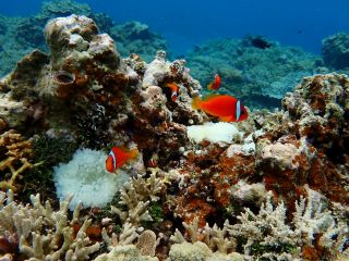 レンタル機材一式無料!!お気軽にご参加ください(≧▽≦)