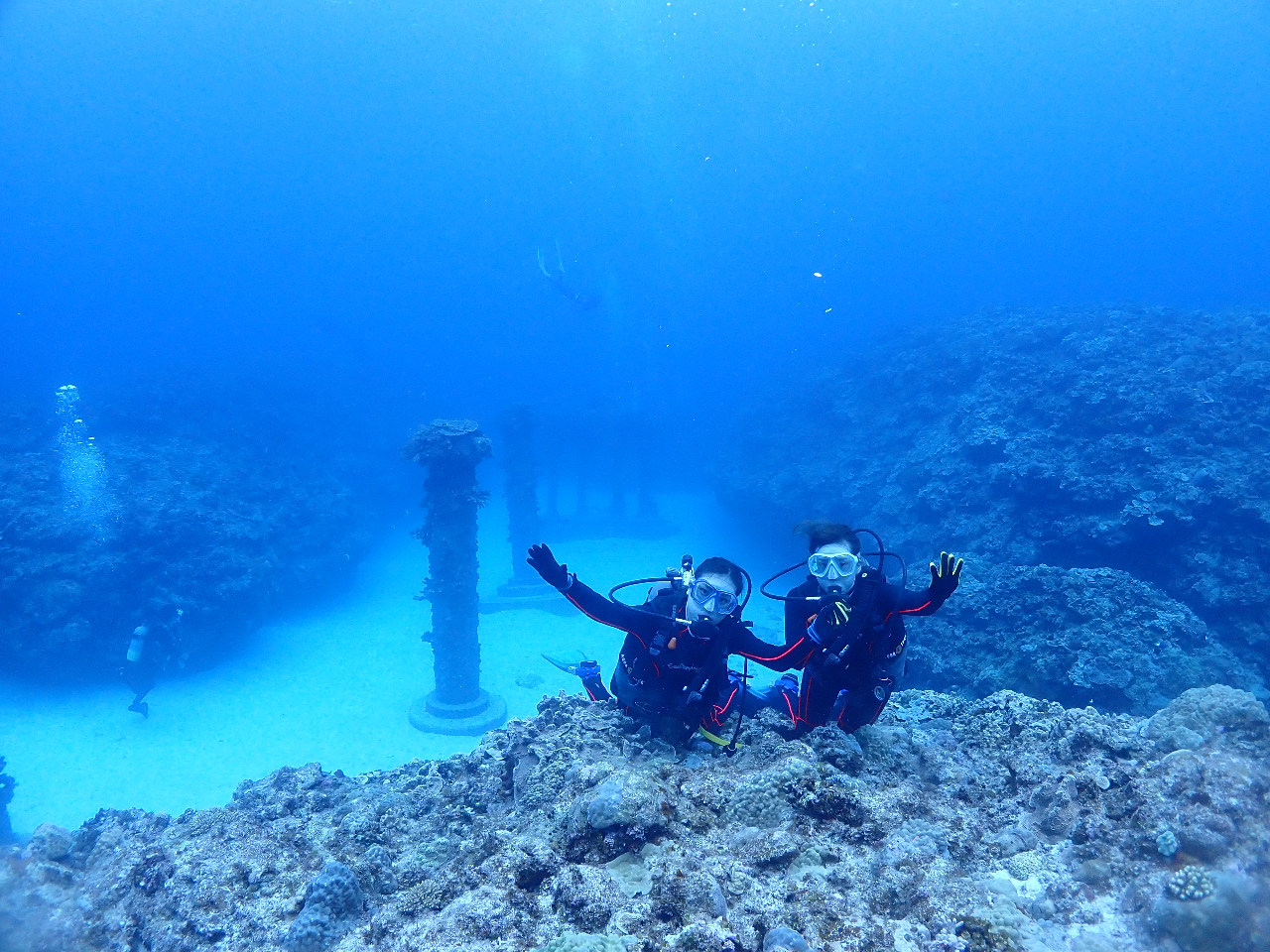 �̌��_�C�r���O2�{�ځA�C���{�a