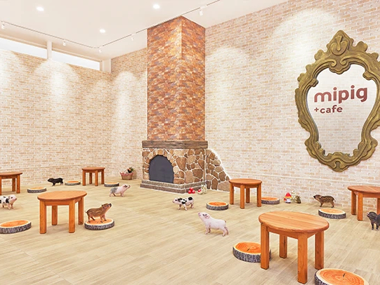 【イオンモール札幌発寒】マイクロブタと過ごす癒やしのひととき♪55分プラン《ファ...