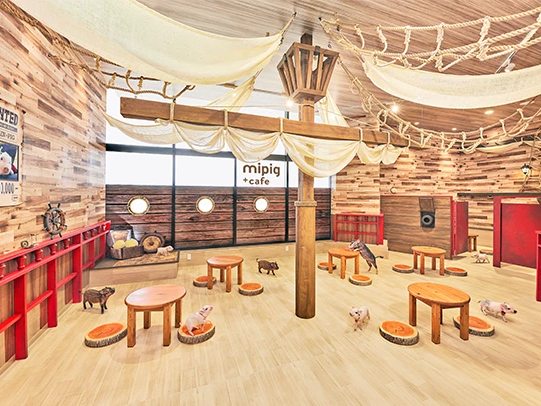 【千葉・イオンモール幕張新都心】マイクロブタと過ごす癒やしのひととき♪55分プラ...