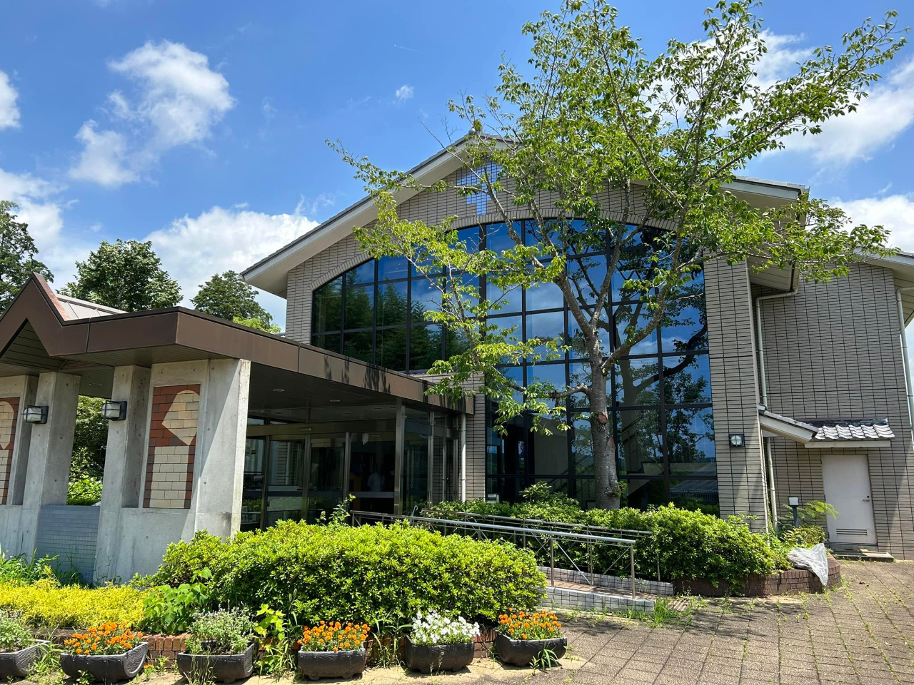 その2 江戸の蔵より 三田青磁 陽刻鹿と文字4角皿 美品 11客 三田青磁