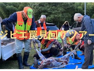 ジビエが取れた場合はの解体ショーも見学可能です。