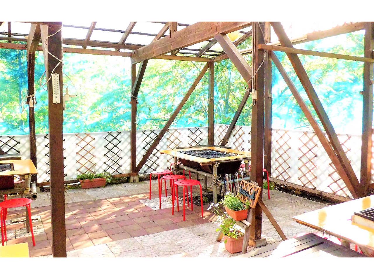 間近に木々をみながら、虫を気にせず自然の中で楽しむバーベキュー