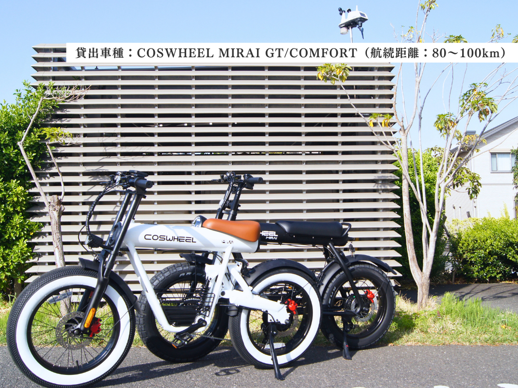�ݏo�@�́FCOSWHEEL MIRAI GT/COMFORT �Q�����
