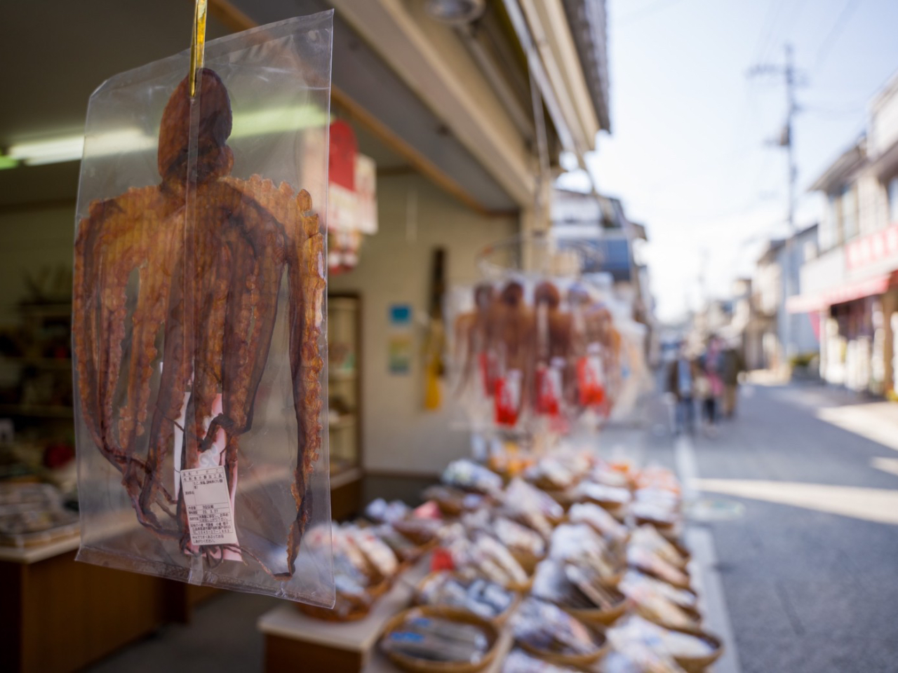 oCÑ^ꏊA˓c̏XX͐̂Ȃ̌iςyނƂł܂B