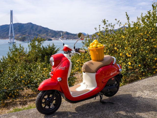 レモンカラーと島ライダーレッドの相性バッチリ!
