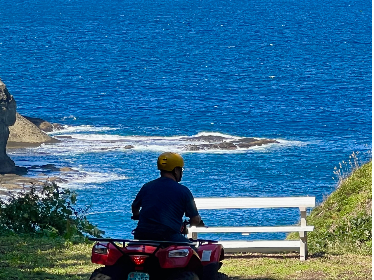 �A�b�v�_�E������Ƒf���炵���i�F�̖��R�[�X�ł��B