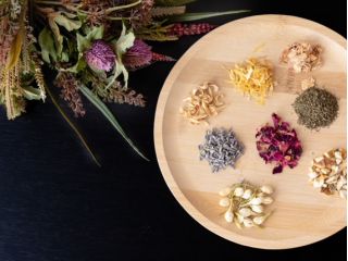 香りや形から、好みのハーブを選んでね