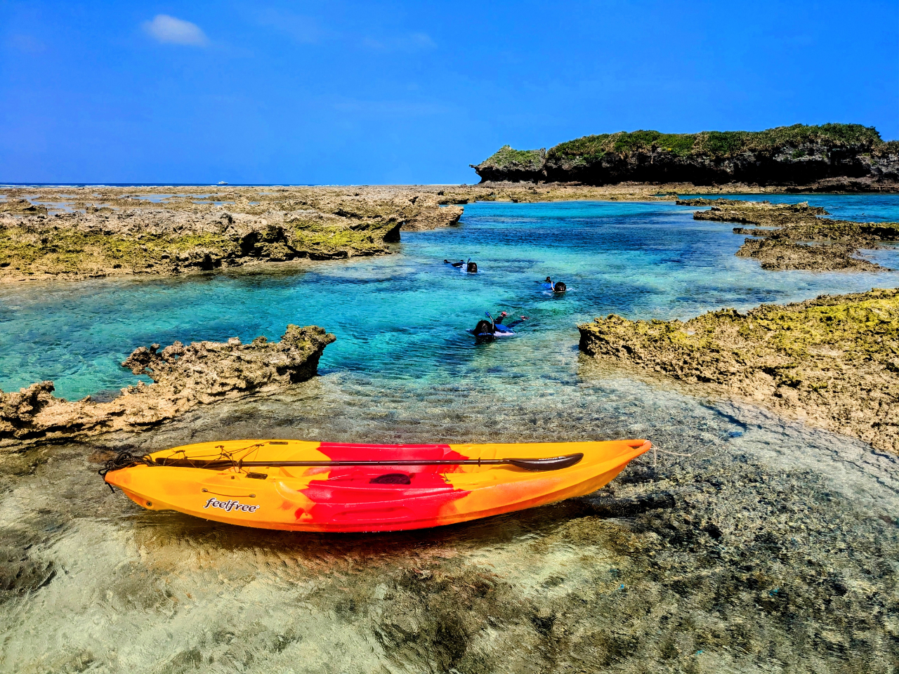 サンゴ礁ベタ付けスタイル