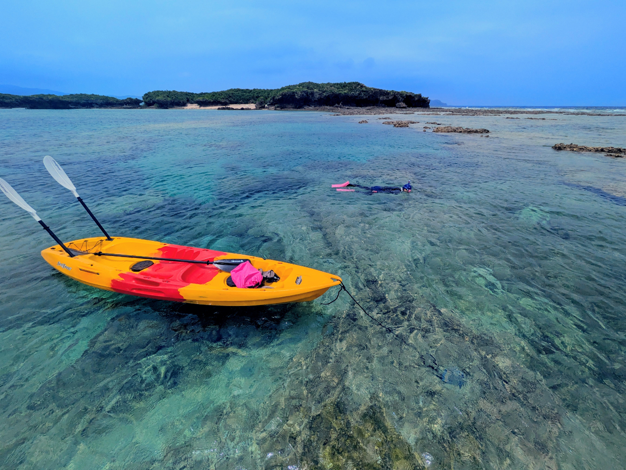 JbNŃ|Cĝ΂܂ŃANZX