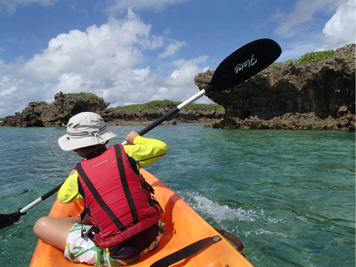 yl̒TցzDShԂ郏NN̖`͂qlɂlCł