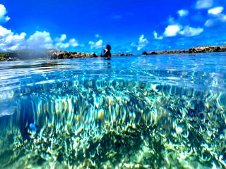 サンゴ群落の間近から着水