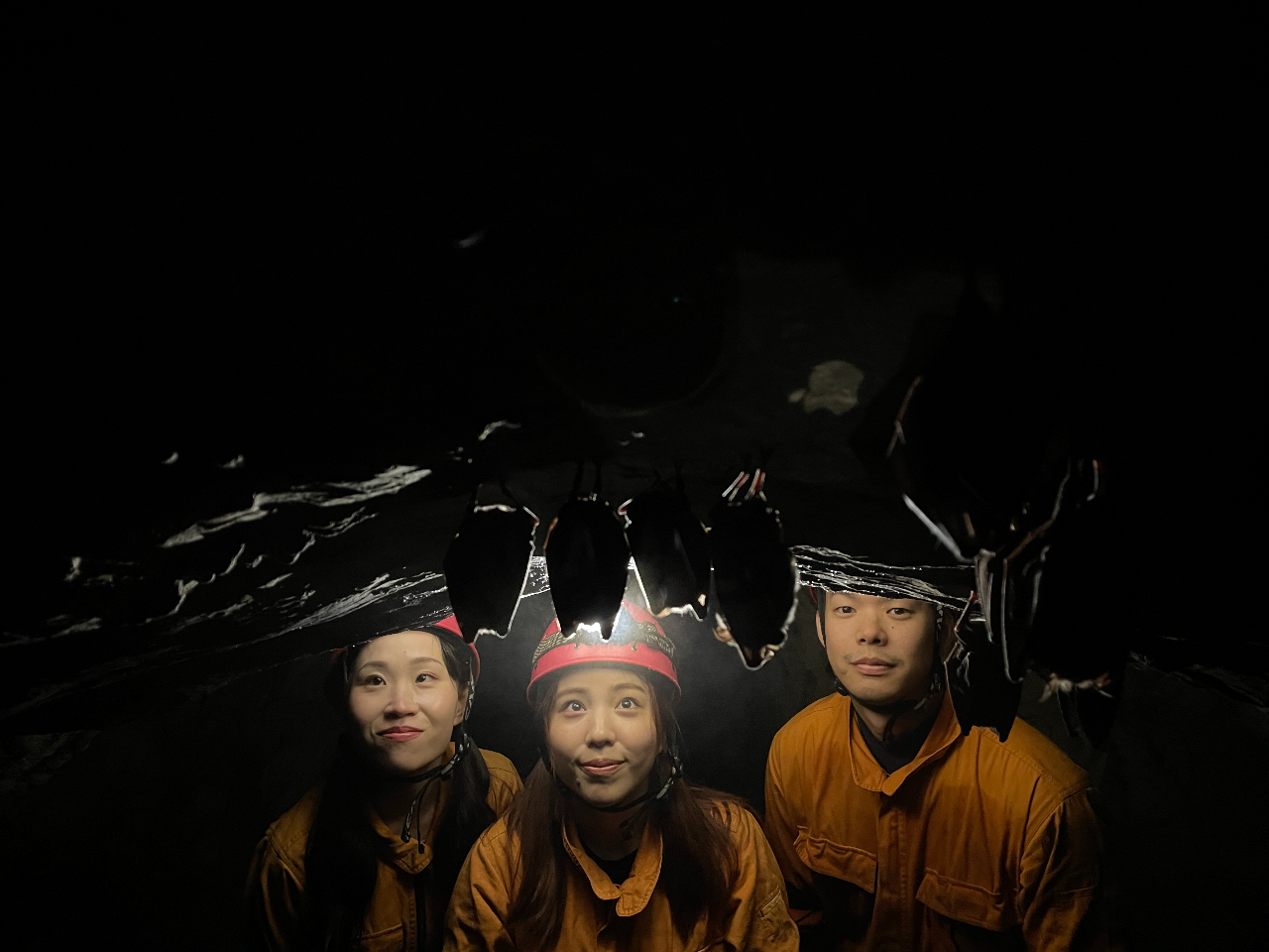 A̒ł͐FȐo}Bӎ育AnŌȂώ@ł܂BȐl͂X[o܂