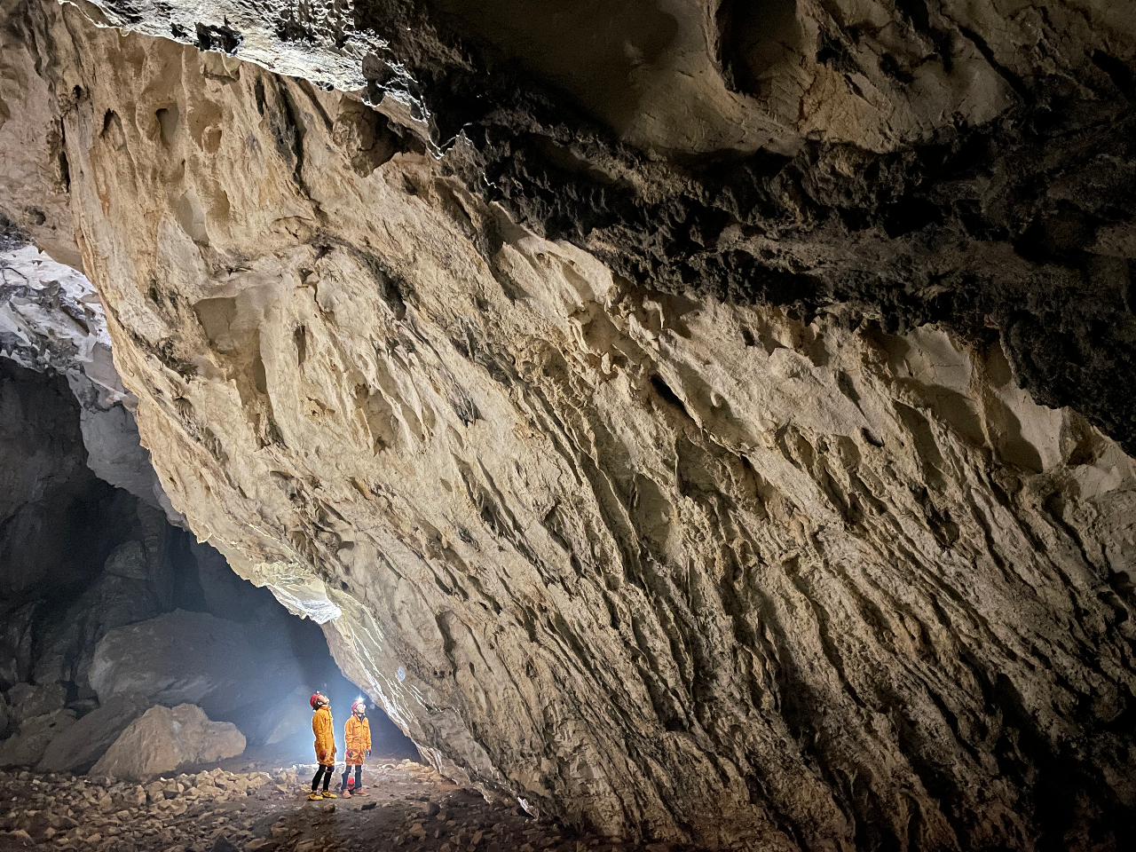 ̏ߓ̍ő̖͂͋Ԃ̍LƁAA̐ߒ₷c肪cĂ鏊łBłĊόnꂸAANZXQ̗ǂBՂłB