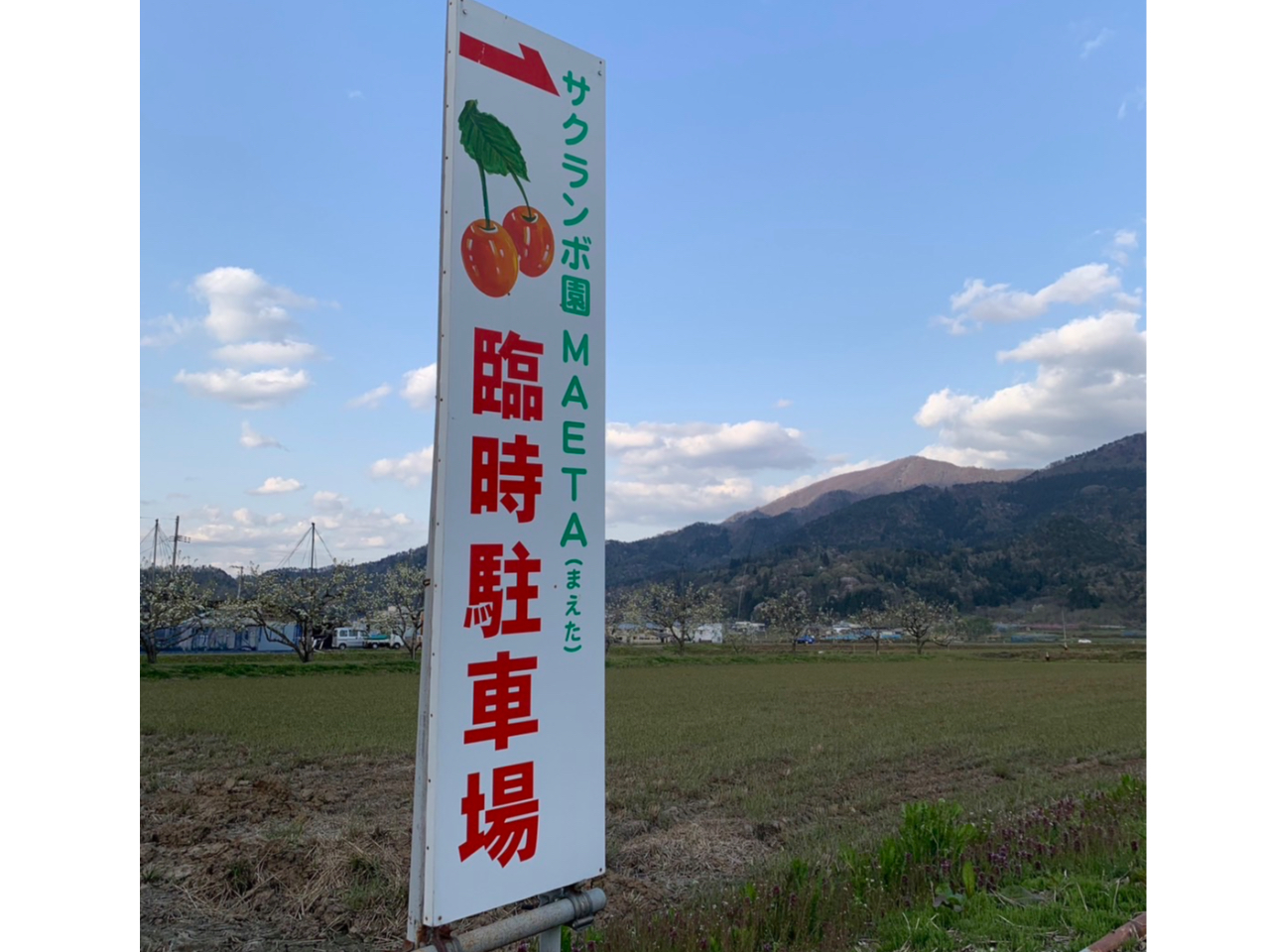 さくらんぼ狩り30分》東根温泉街からすぐの立地！万田酵素使用で低農薬