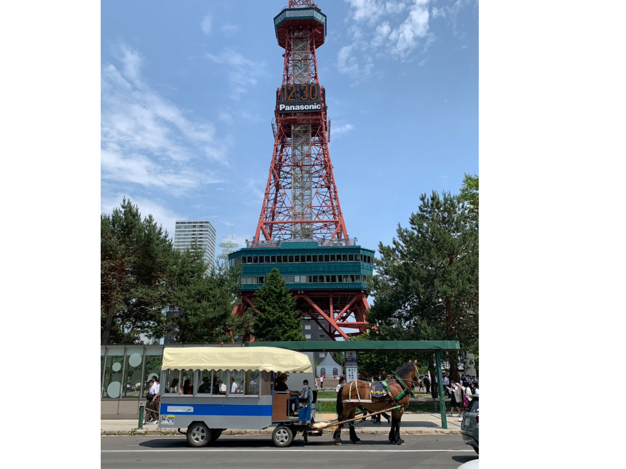 大通公園周辺で札幌まちばしゃ乗車体験しよう!カップル・ファミリー・女性におすすめ