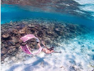 日本最大級の珊瑚礁群「八重干瀬」ででシュノーケルや素潜り体験。