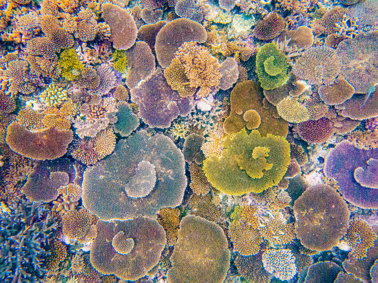 WonderFull marine�̎ʐ^2