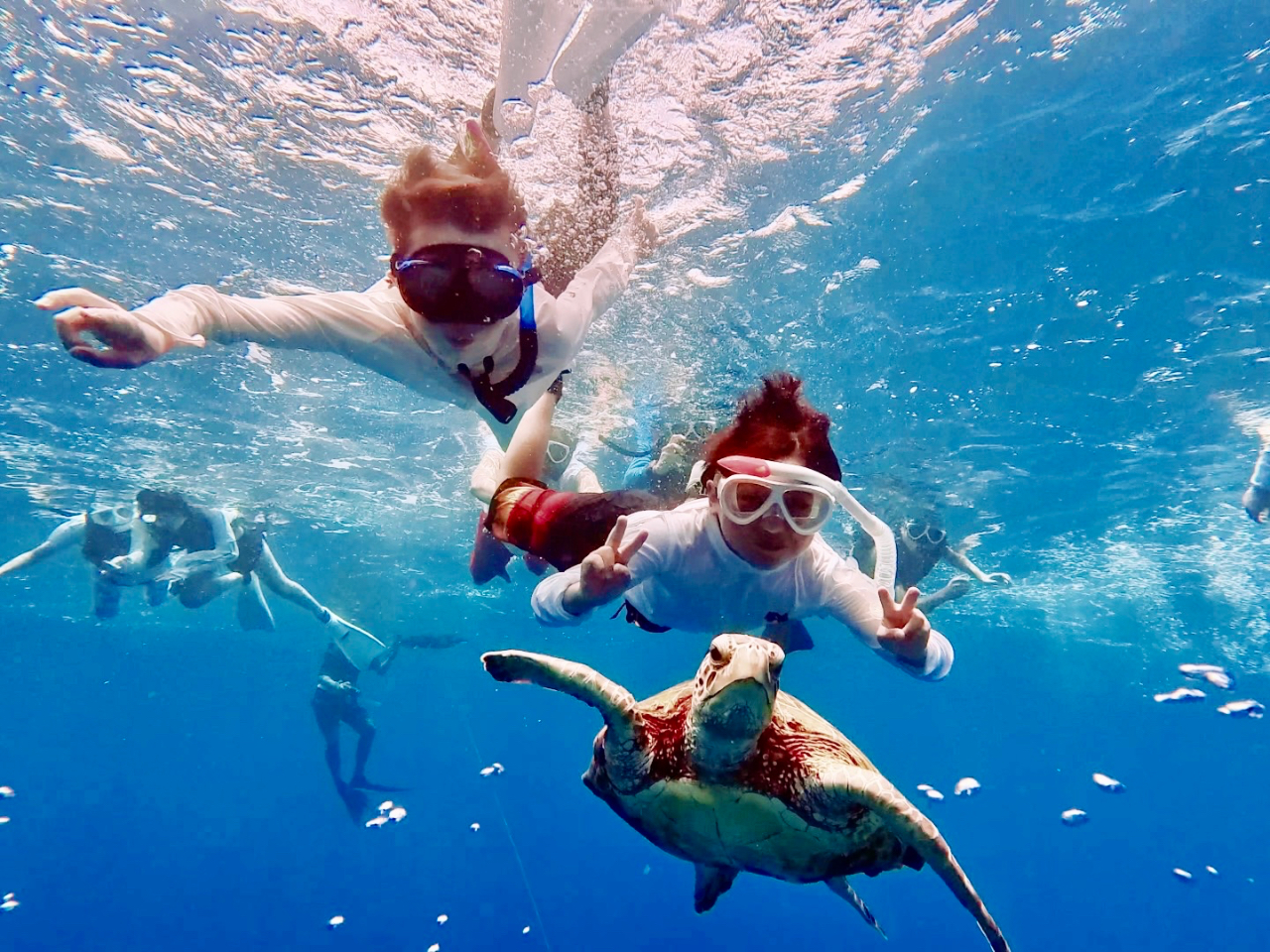 WonderFull marine�̎ʐ^3