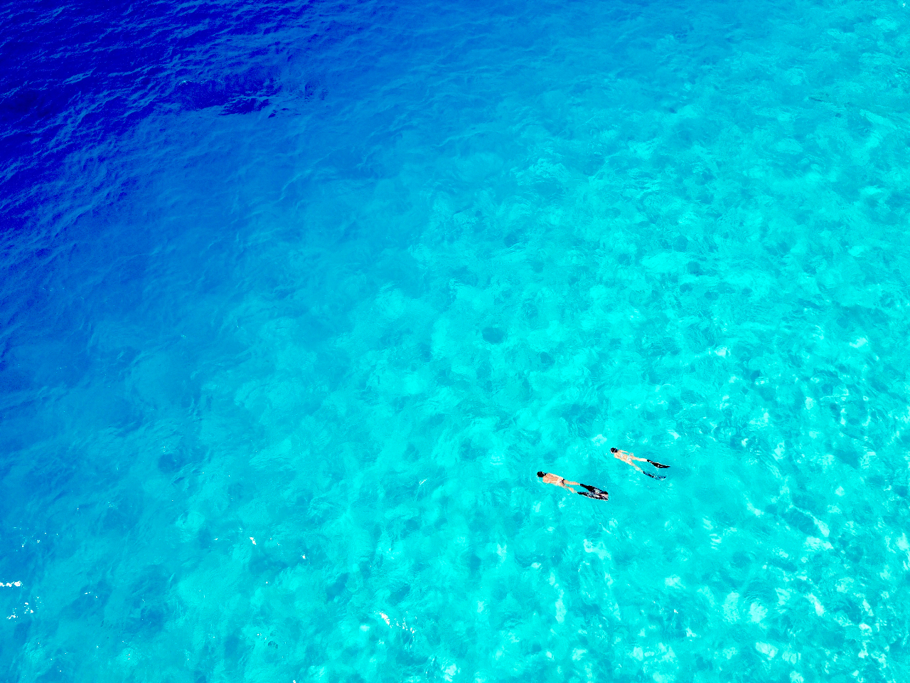 WonderFull marine�̎ʐ^4