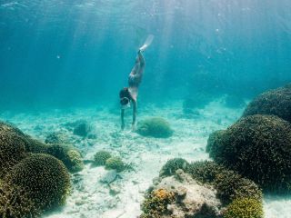 穏やかな海で素潜り体験