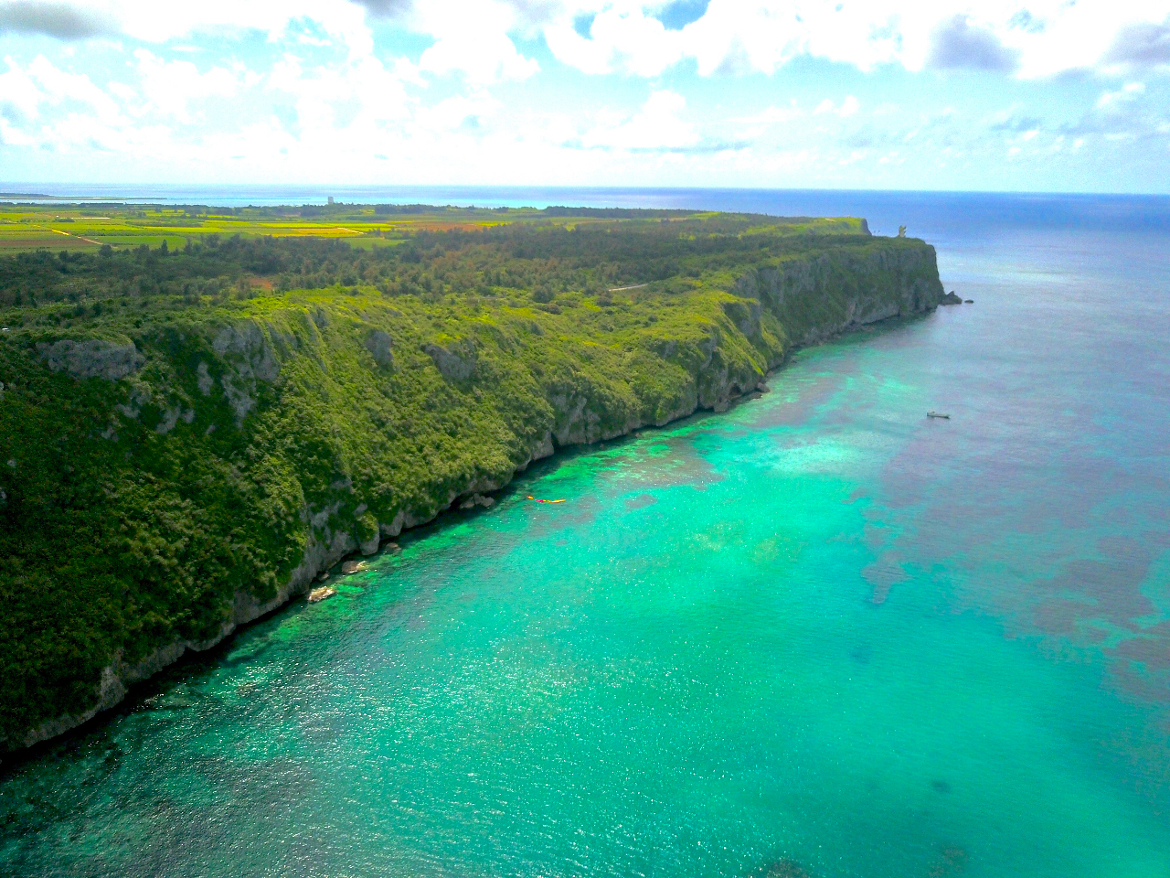 ɗǕ̐iX|bgOp_̉̃[t͂ƂĂ₩