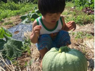 大切な家族が口にするものだから。農薬等を使わずに、安全で安心な野菜を作ろう!