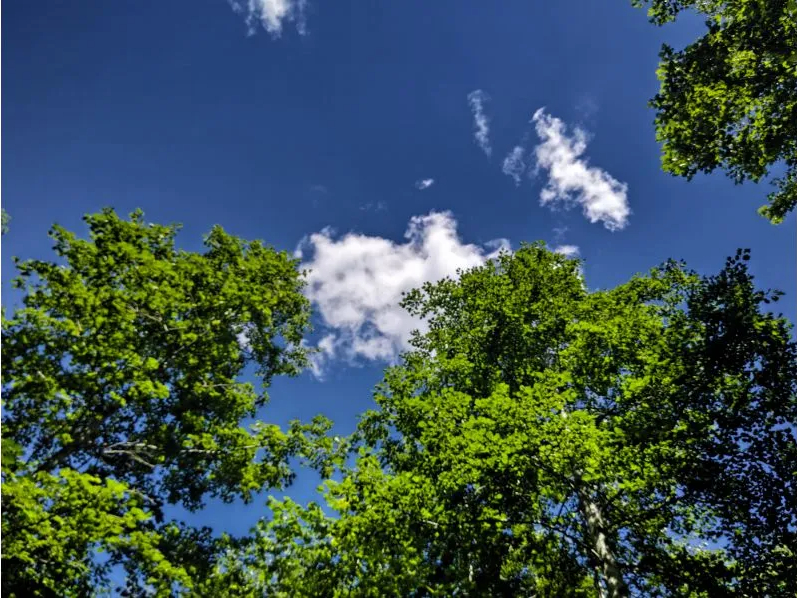 �X�ї��ł̃��t���b�V���͍ō��ł���