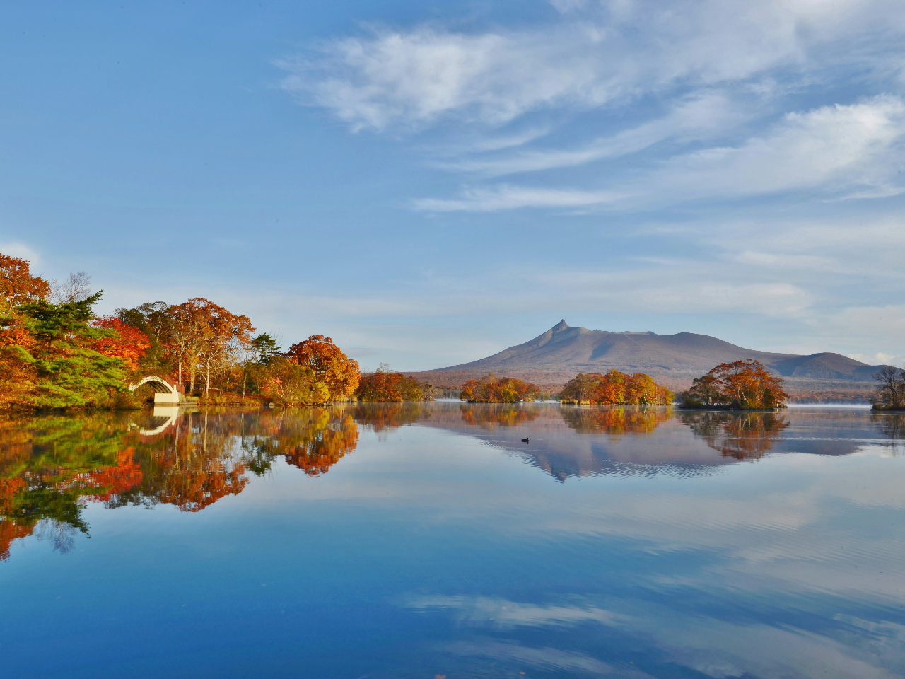 10(gt̍)͌zIȕiy߂܂