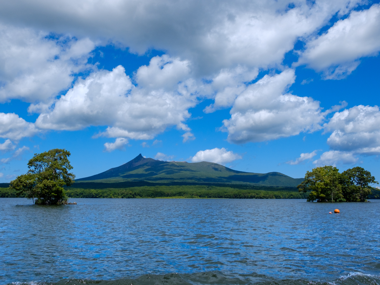 �V���D����̌i�F