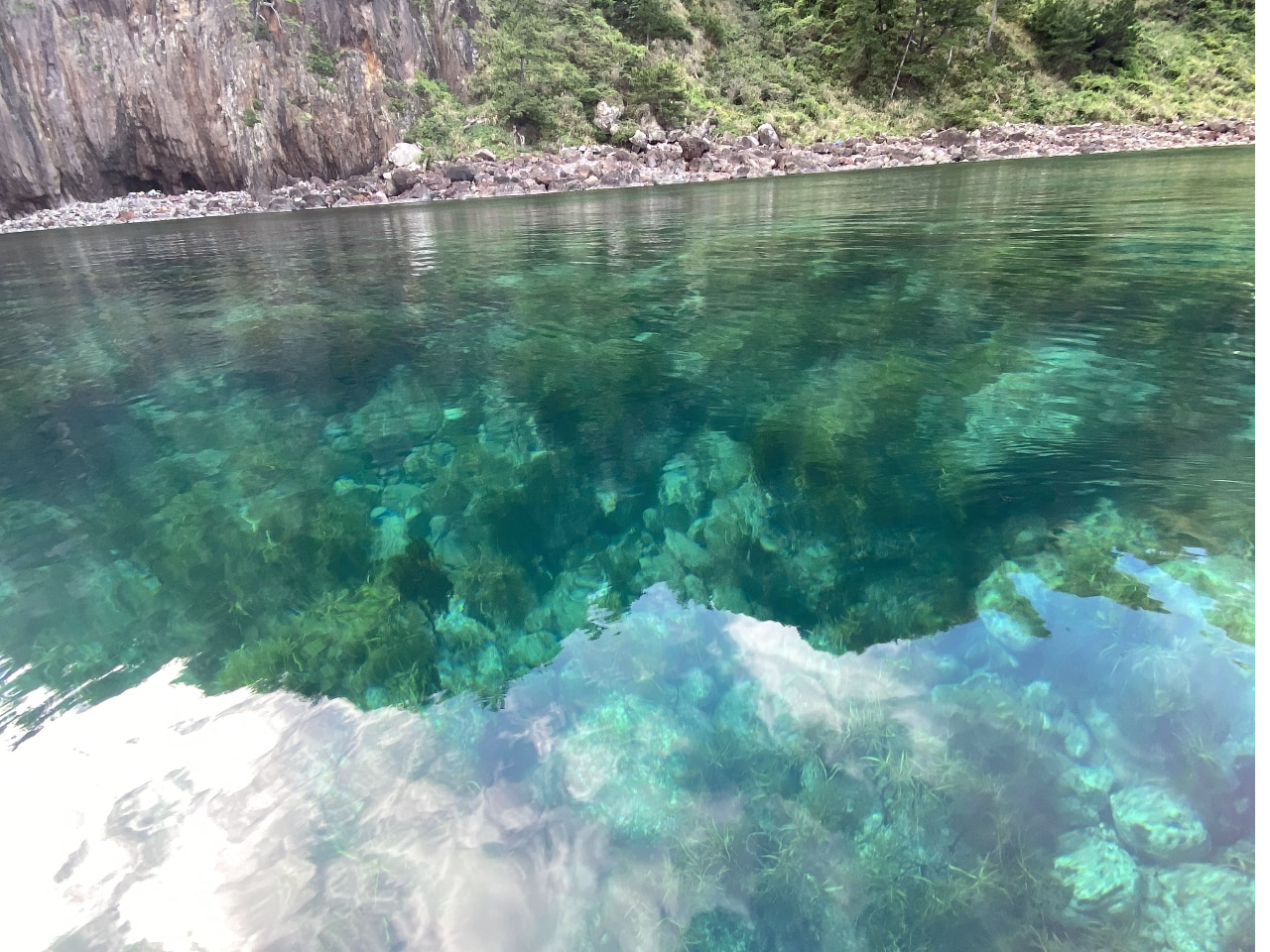 �����x�̍����C