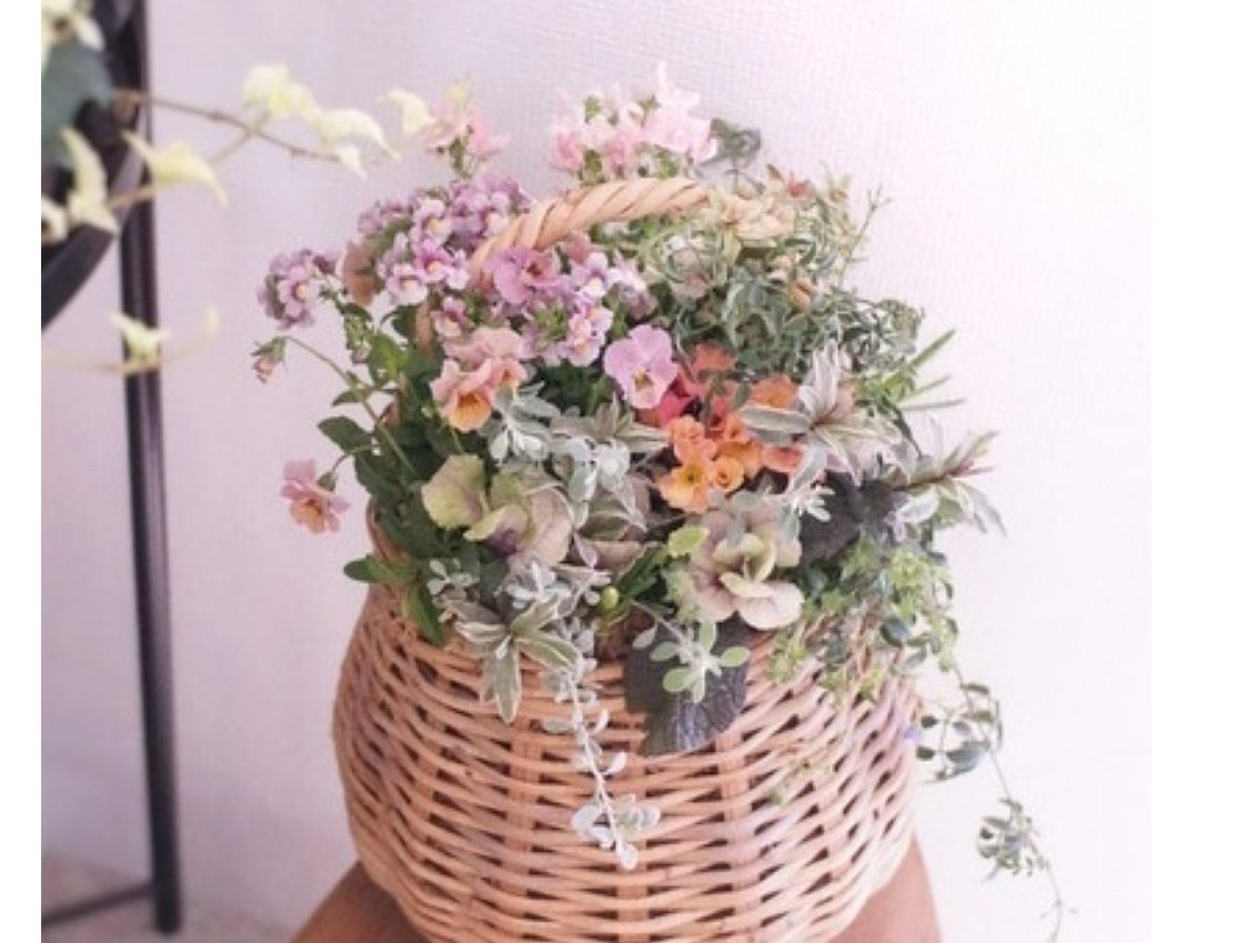 寄せ植え　花■季節の花のブリコラージュフラワー 寄せ植えブリコラージュ フラワー