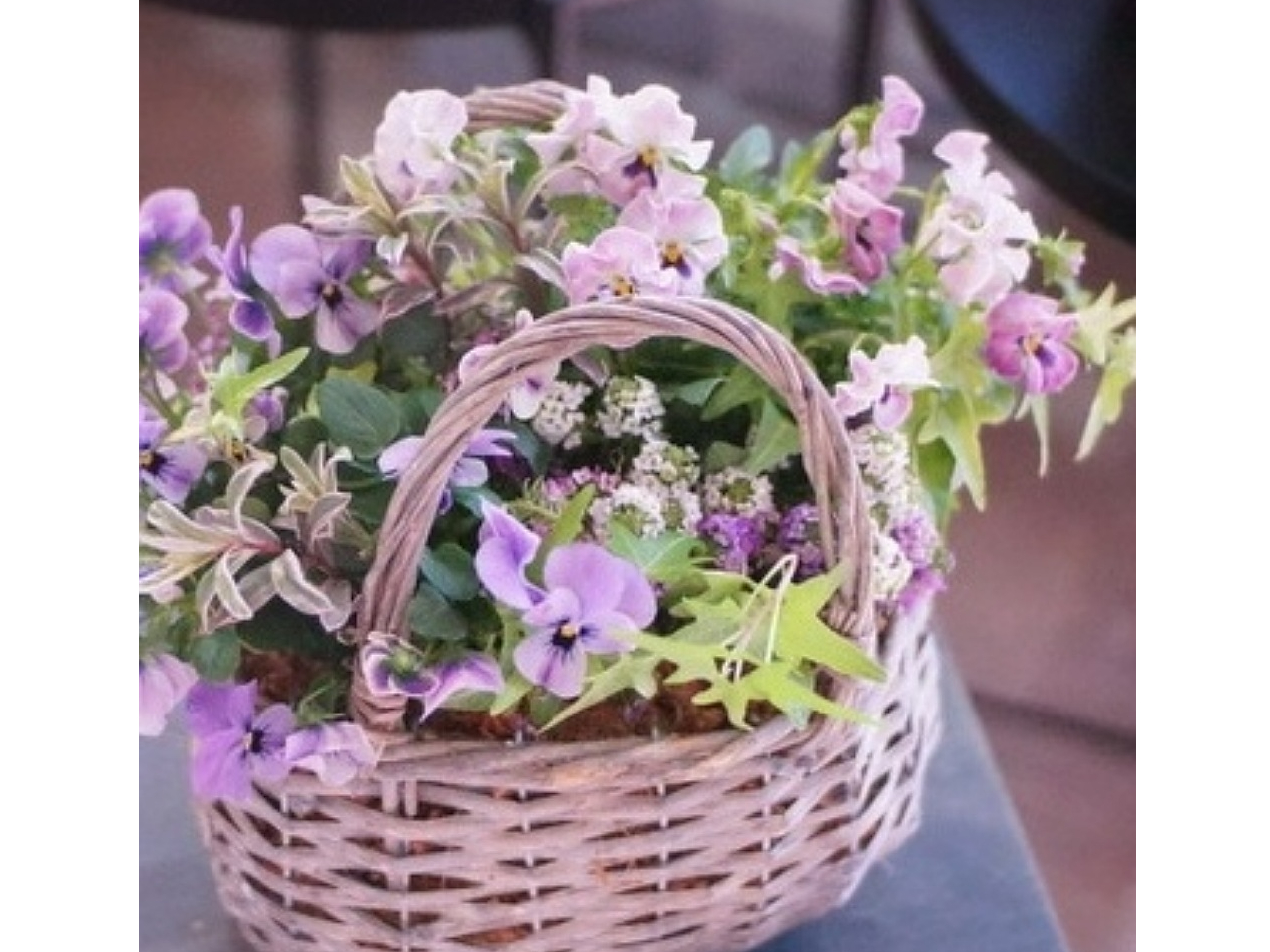 寄せ植え　花■季節の花のブリコラージュフラワー 寄せ植えブリコラージュ フラワー
