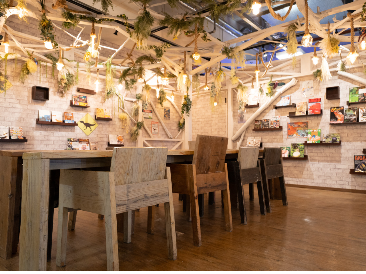 NIM�L�����v