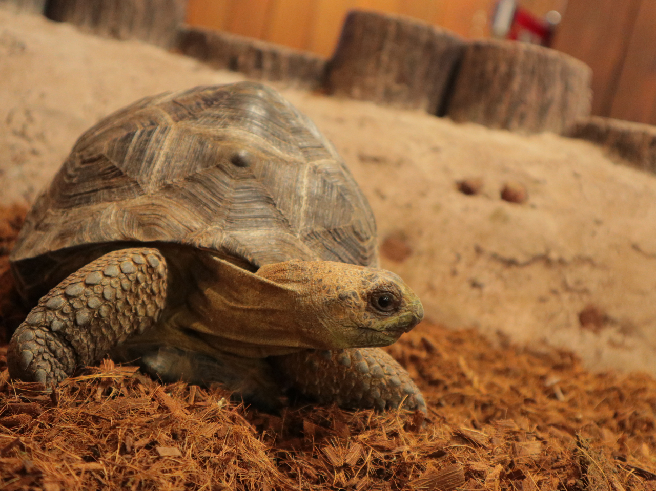 �A���_�u���]�E�K��