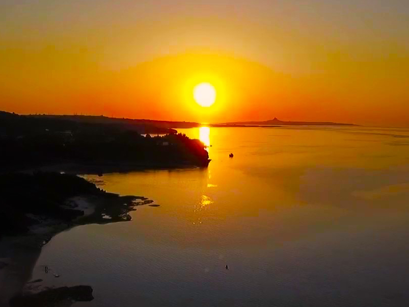 Am[iX|bgIIXMĂXX鎊̑̌